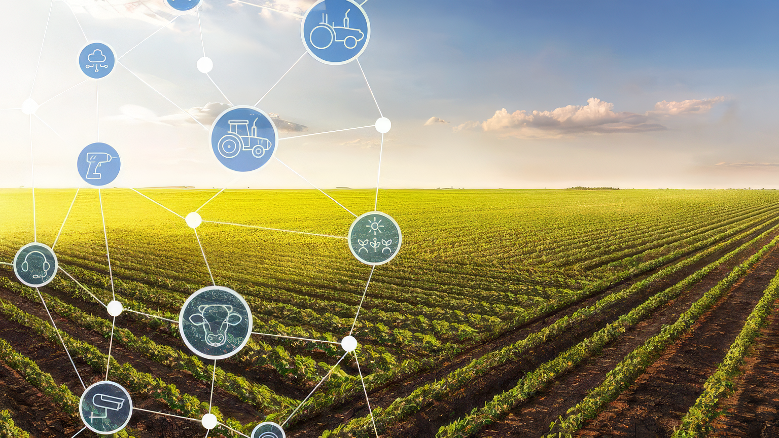 Campo sustentável com agricultura moderna no Paraná